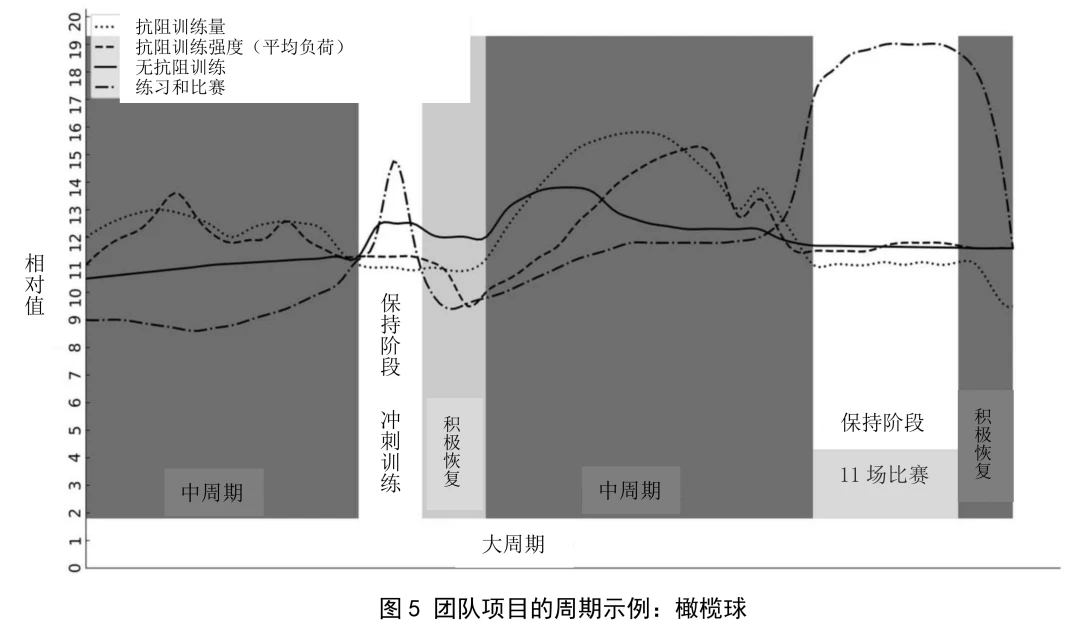 篮球青训营中的体能训练方案有哪些?_0